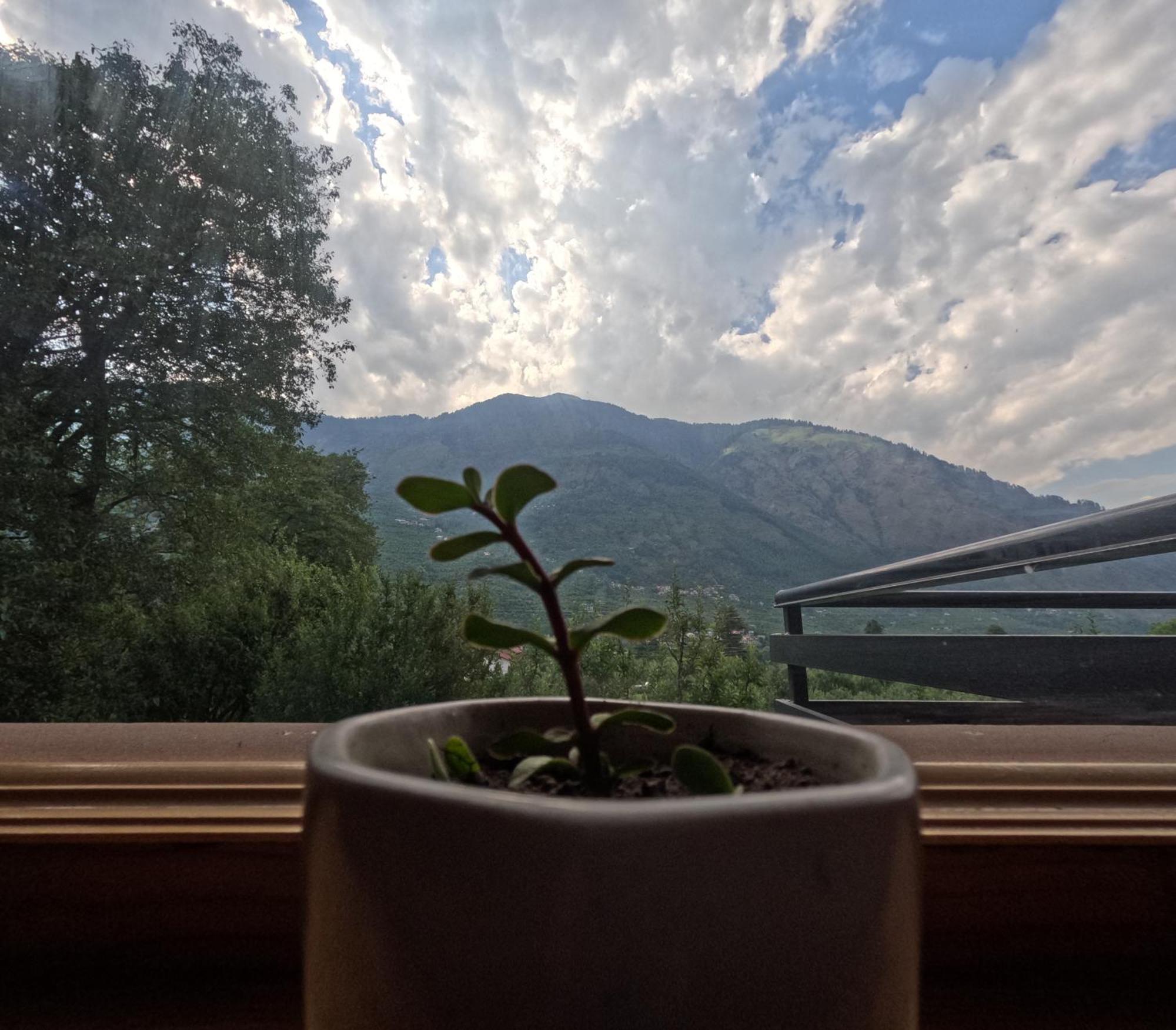 Saanjh - A Serene Retreat Manali  Bagian luar foto